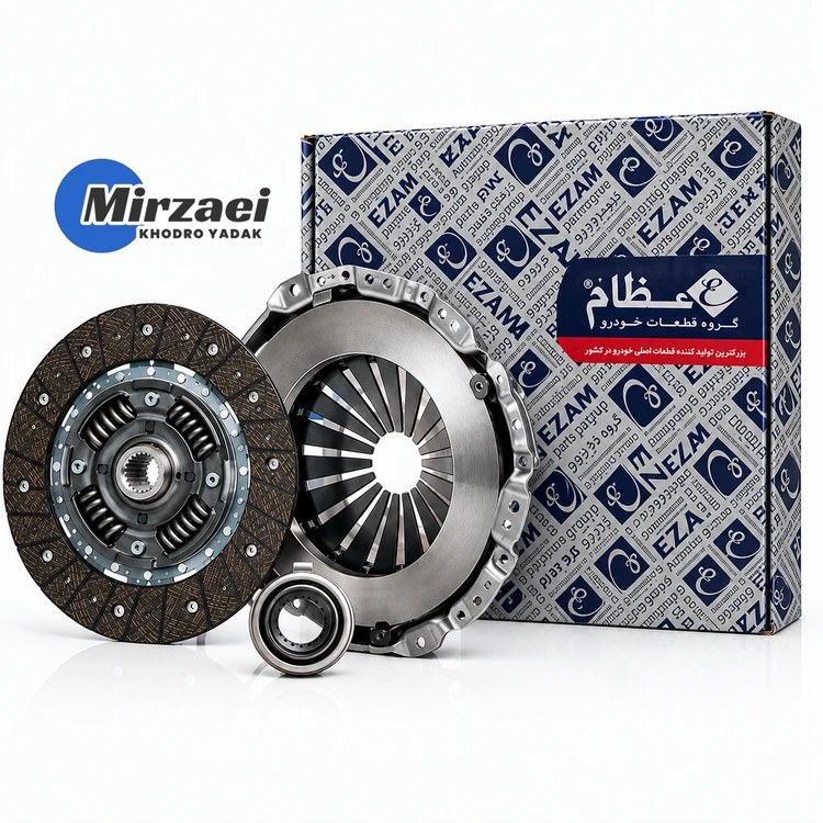 دیسک و صفحه روآ و آردی عظام