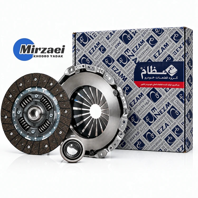 دیسک و صفحه روآ و آردی عظام